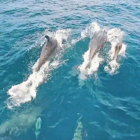 ヴィラ Crisandra By Algarve Vacation